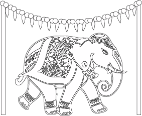 elephant